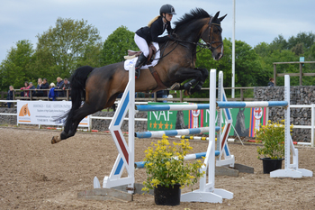 Horse & Hound Senior Foxhunter Second Rounds Get Underway at Wales and West